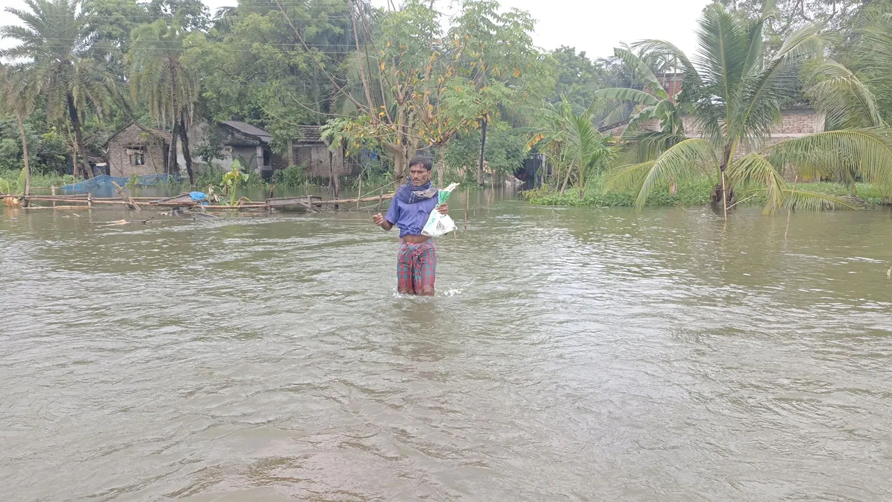 সাতক্ষীরায় কৃষি ও মৎস্য খাতে ক্ষতি ৭০০ কোটি টাকা