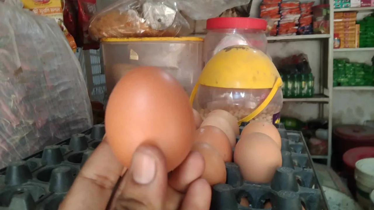 এক ডিমের দামই ১৪ টাকা