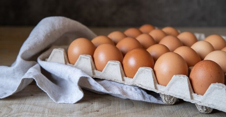 egg-20250211163458