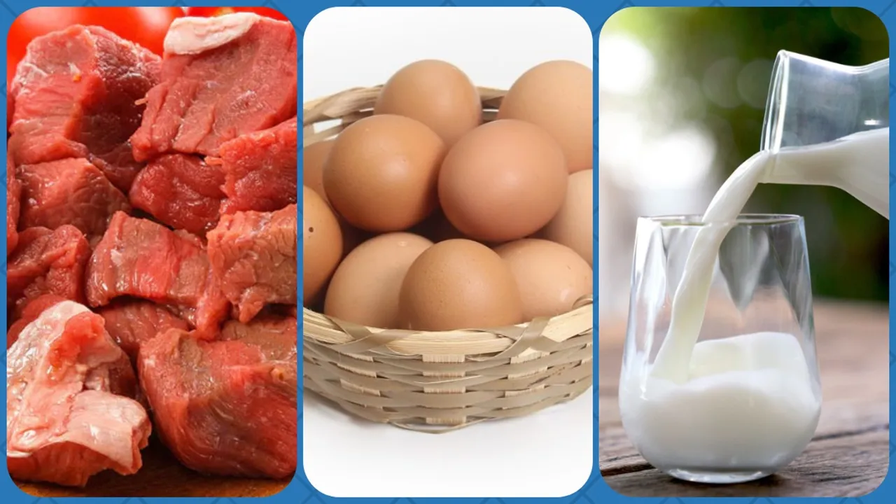 রোজায় গরুর মাংস ৬৫০ ও ৮০ টাকায় দুধ বিক্রি করবে সরকার