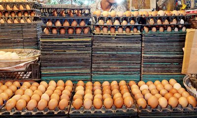 eggs-20241016220342