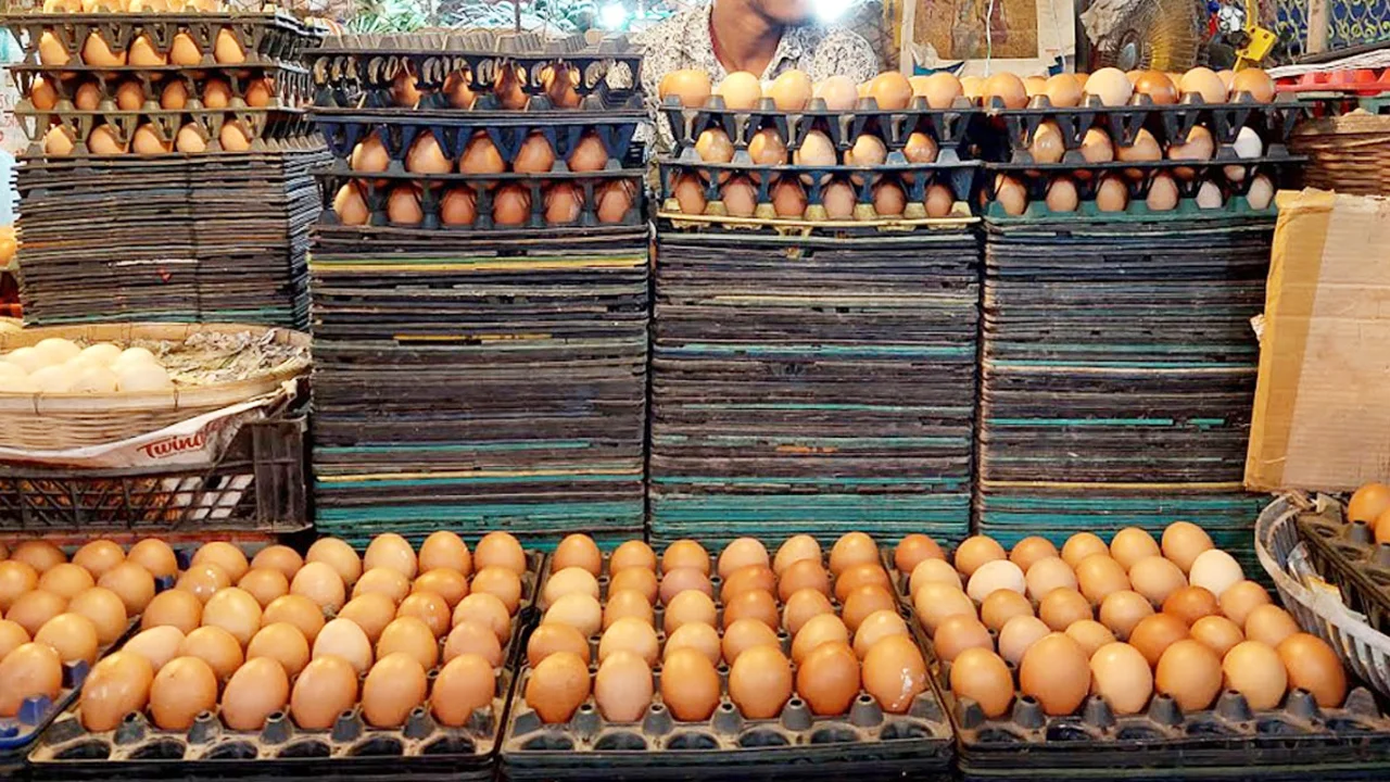 eggs-20241016220342