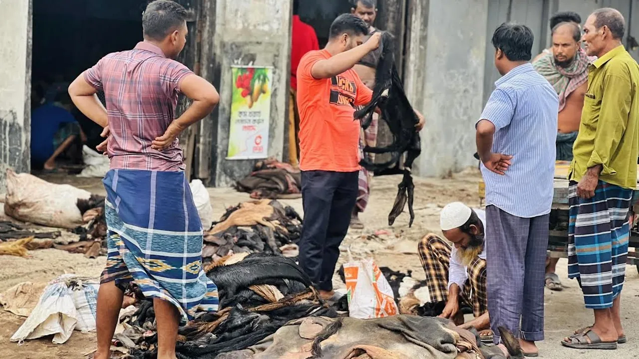 কাঁচা চামড়ার দাম নিয়ে হতাশ মৌসুমি ব্যবসায়ীরা