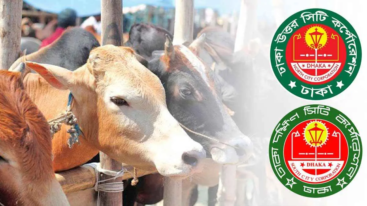 ঢাকায় কোরবানি পশুর হাট বসবে কোথায়, কোন সিটিতে কয়টি?