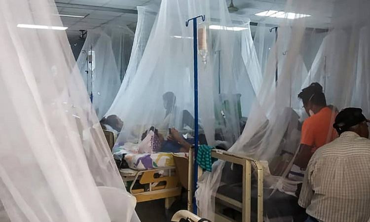 Dengue menace: 4 die in 24 hrs, 646 hospitalised
