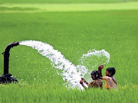 Govt may subsidise diesel for Boro farmers:  Agriculture Minister