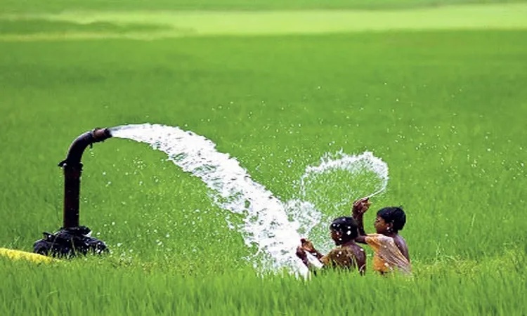 Govt may subsidise diesel for Boro farmers:  Agriculture Minister