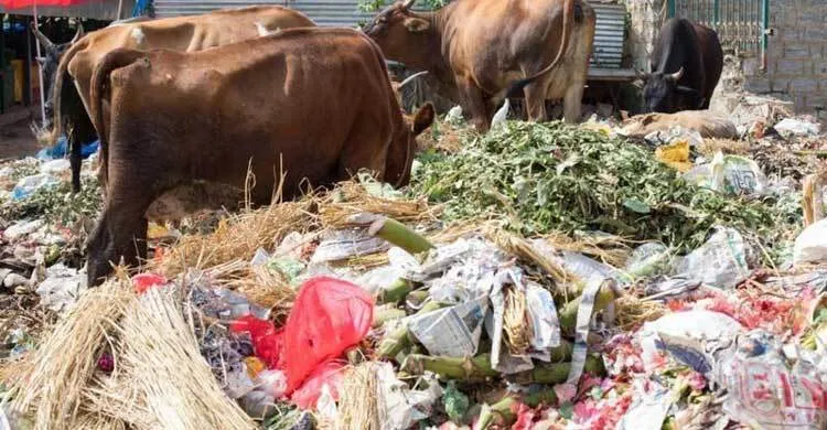 যুক্তরাষ্ট্র-ব্রিটেনের চেয়ে বেশি খাবার নষ্ট হয় বাংলাদেশে