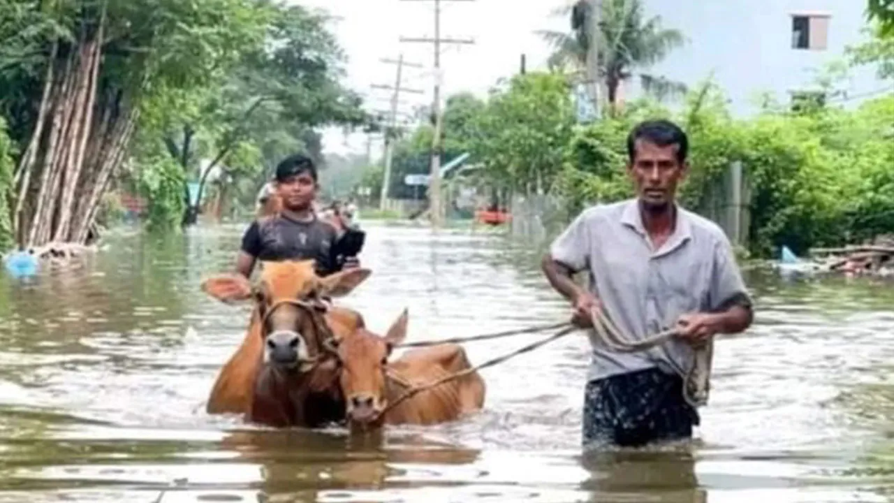 ফেনীতে পানিবন্দি আড়াই লাখ মানুষ, আশ্রয় খুঁজতে দিশেহারা বানভাসিরা