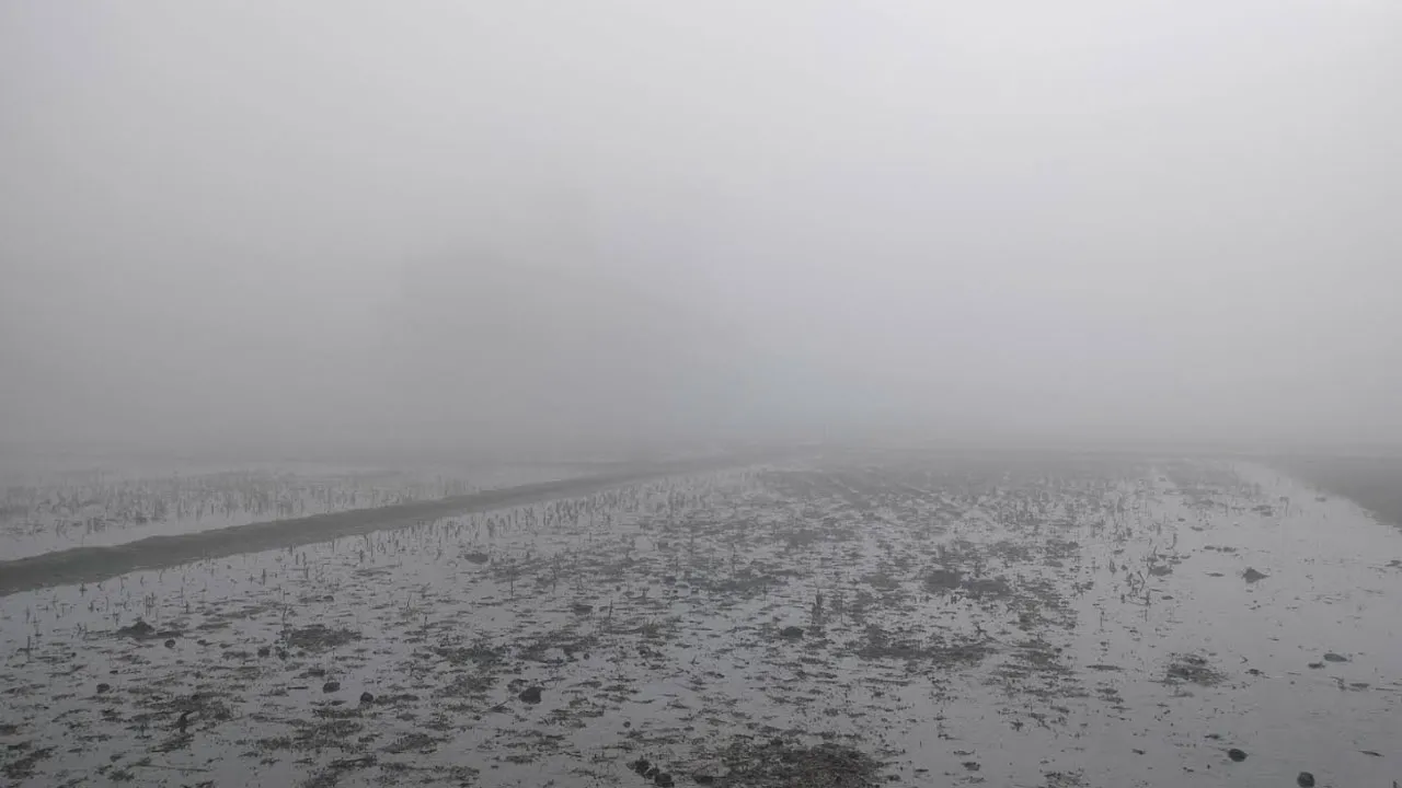দুই জেলার তাপমাত্রা ৬ ডিগ্রির ঘরে