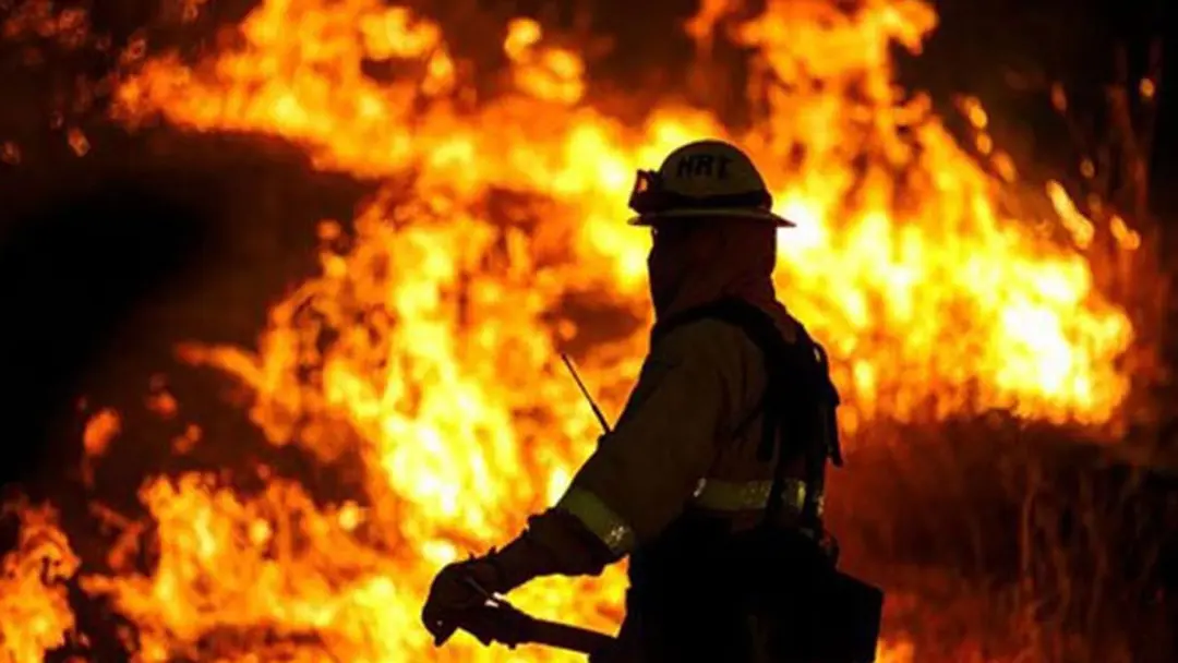 fire-12-20260415191645