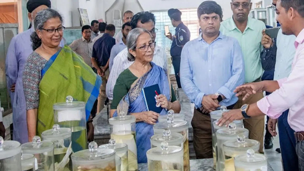 ছোটমাছের বিলুপ্তি ঠেকাতে বিএফআরআইকে তৎপর থাকতে মৎস্য উপদেষ্টার নির্দেশ