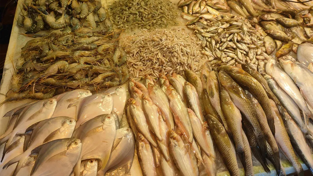 মাছের দামে আগুন, ডিমের ডজন ১৫০