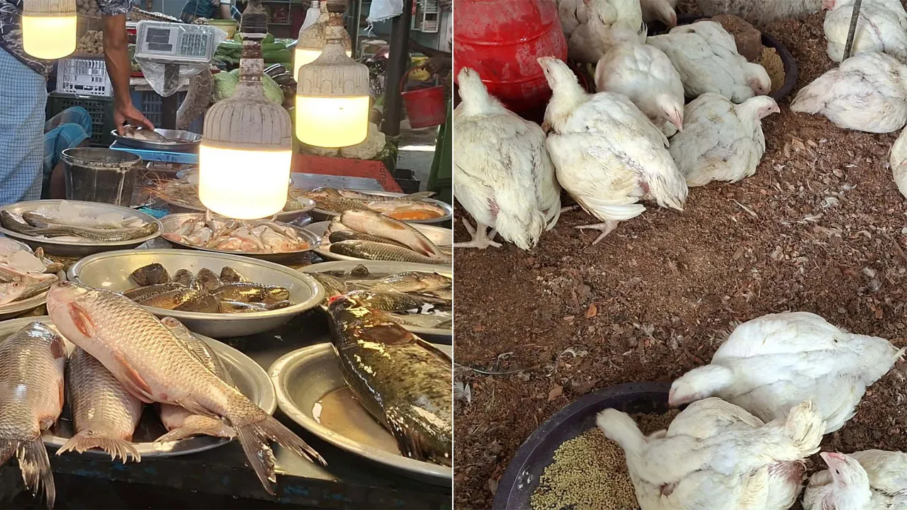 ব্রয়লারের চেয়ে মাছের দাম বেশি