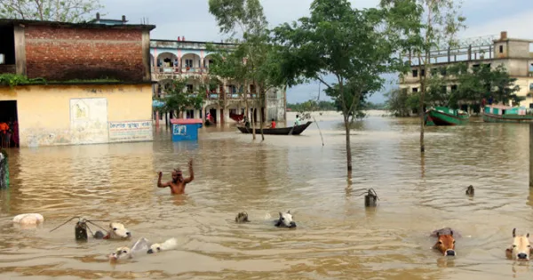 দেশে বন্যায় ৩৬ জনের মৃত্যু
