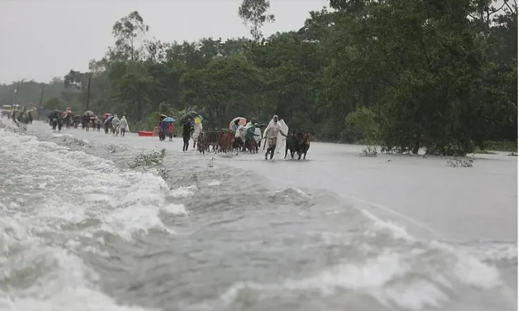 10 lack stranded as floods hit Sylhet again