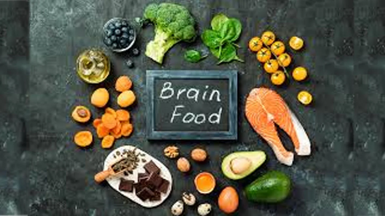 food-brain-20240810100402