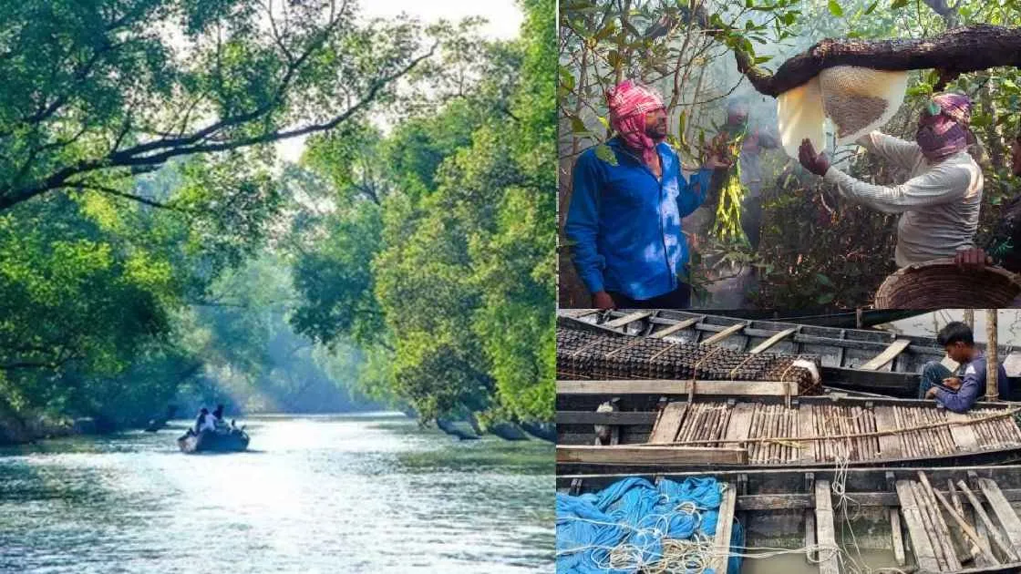 তিন মাস পর খুলছে সুন্দরবন, জেলে-বাওয়ালিদের সামনে দস্যু আতঙ্ক
