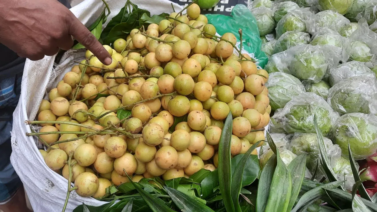 মৌসুমি ফলের দামে আগুন, লটকনের কেজি ২৫০