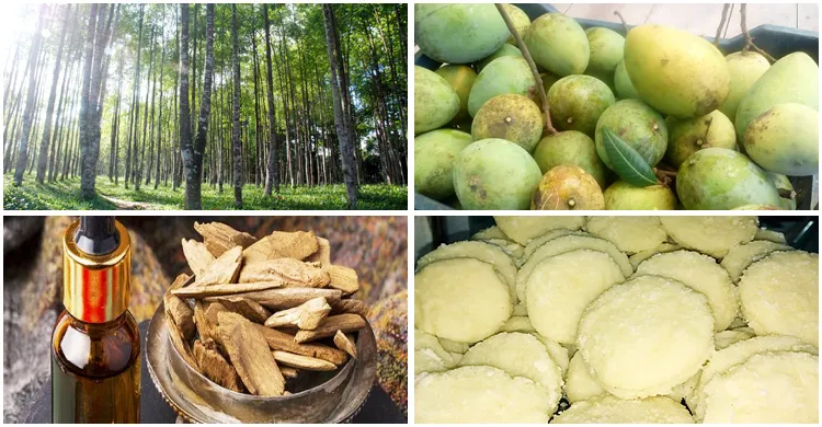 জিআই অনুমোদন পেল আরও ৪ পণ্য