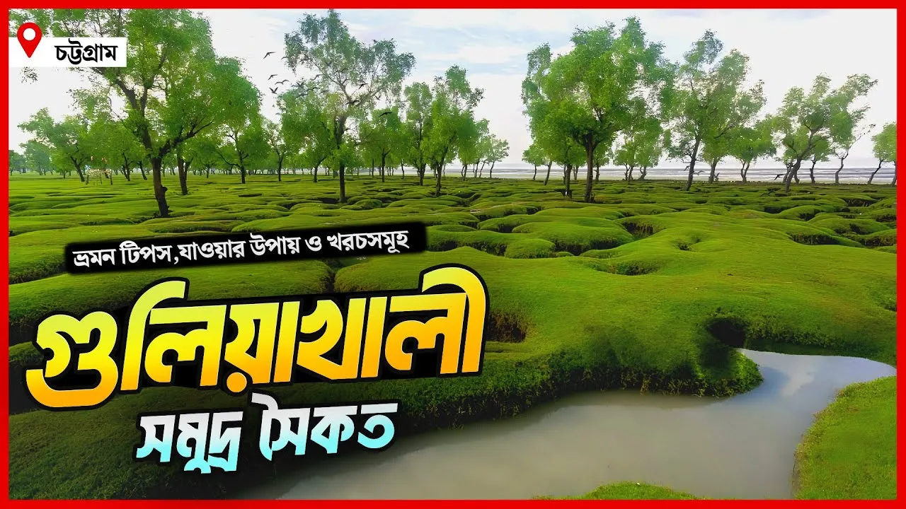 সবুজ গালিচার বিস্তৃত ঘাস গুলিয়াখালী সমুদ্র সৈকত