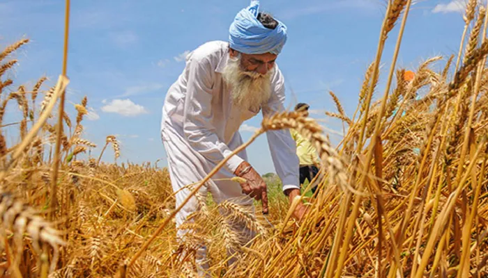 অভ্যন্তরীণ বাজার রক্ষা করতে গম রপ্তানি বন্ধ করেছে ভারত : জয়শঙ্কর