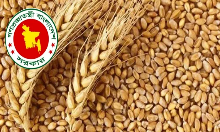 সাড়ে ৩৪ টাকা কেজি দরে রাশিয়া থেকে গম কিনছে সরকার