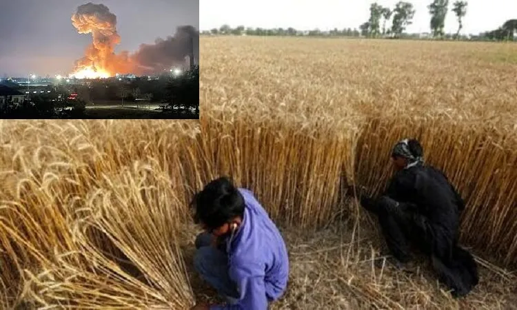 রাশিয়া-ইউক্রেন যুদ্ধ, ভারতের দখলে গমের বাজার