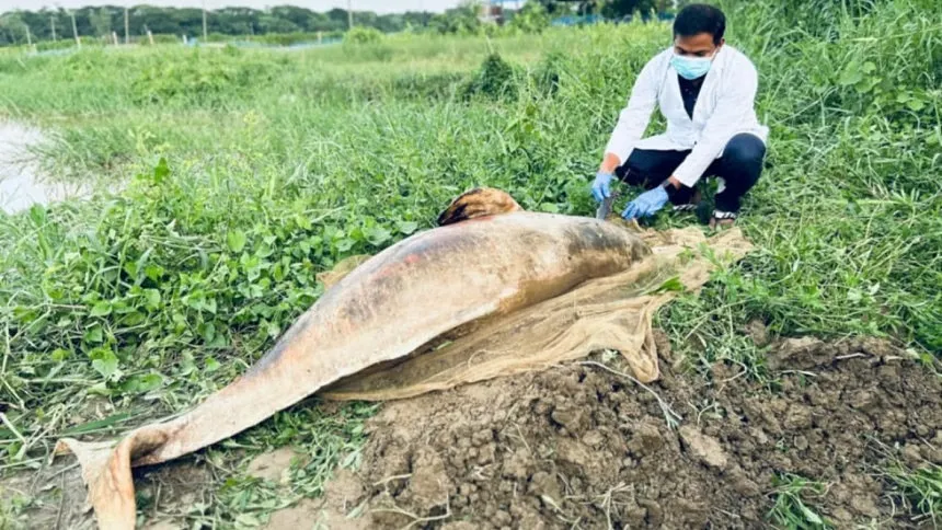Two probe bodies formed to investigate fish deaths in the Halda