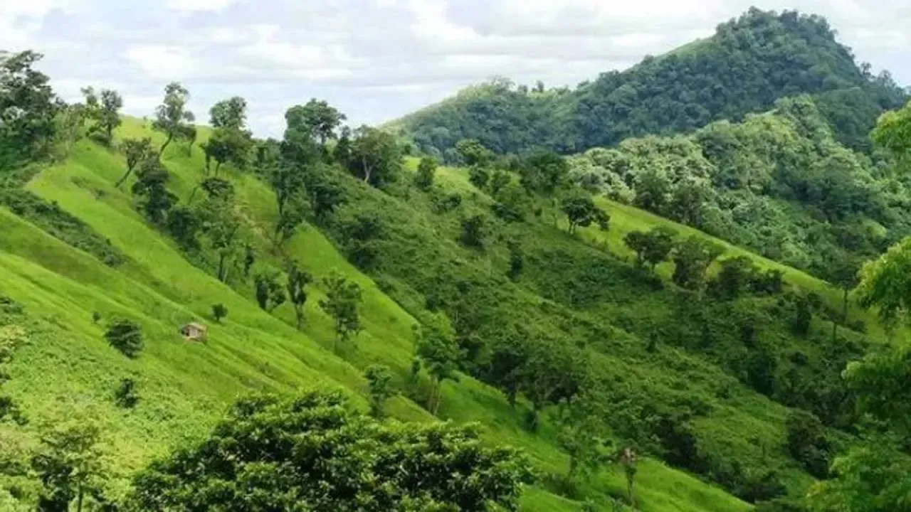 বাংলাদেশের পর্বতশৃঙ্গের জরিপ কবে?