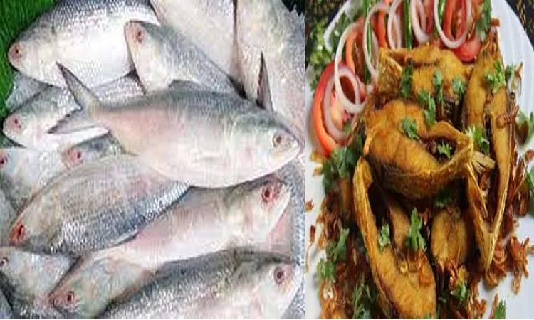 মাছে ভাতে বাঙালি : মাছ খাওয়ার উপকারিতা