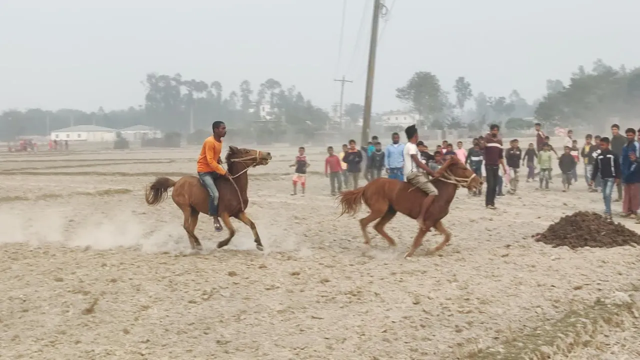 দিনাজপুরে জমে উঠেছে ঐতিহাসিক চেরাডাঙ্গী ঘোড়ার মেলা