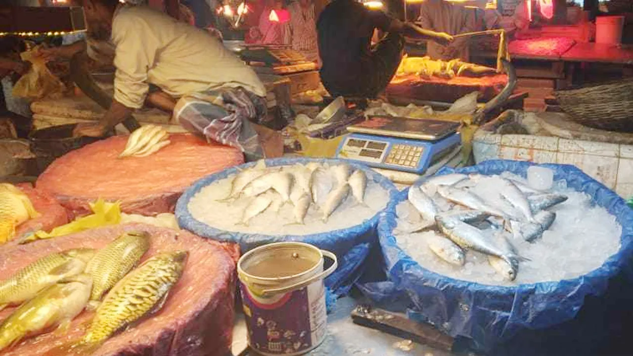 পহেলা বৈশাখের প্রভাব ইলিশের গায়ে