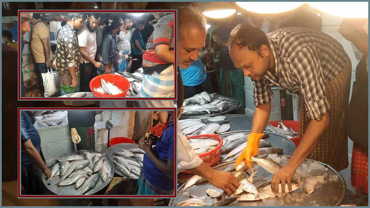 ইলিশে সয়লাব বাজার : আমদানি থাকলেও দাম বেশি