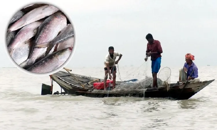 মধ্যরাত থেকে ইলিশ শিকার শুরু