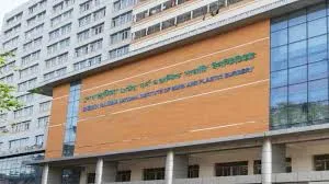 রূপগঞ্জে গ্যাস সিলিন্ডার বিস্ফোরণ, শিশুসহ দগ্ধ ৪