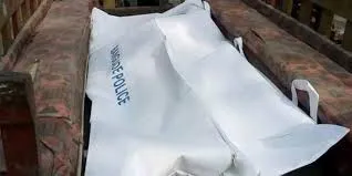 সিরাজগঞ্জে পিকআপ চাপায় মা-ছেলে নিহত