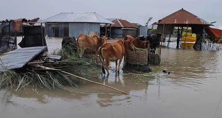 কুড়িগ্রামে বন্যা পরিস্থিতির আরও অবনতি