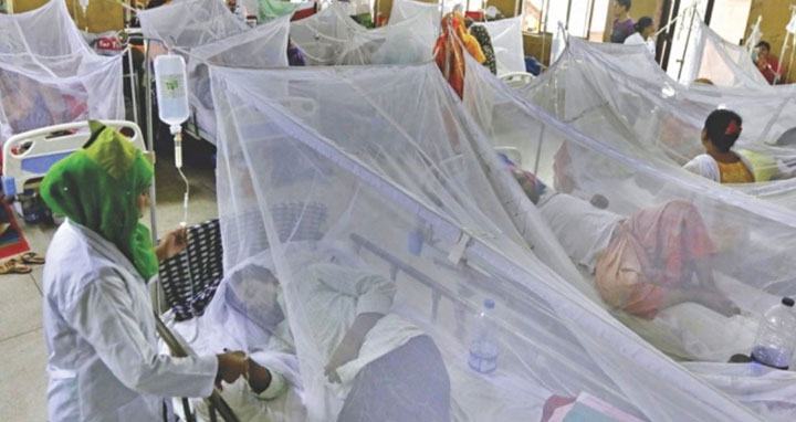 ডেঙ্গুতে আরও একজনের মৃত্যু, হাসপাতালে ৪০ জন