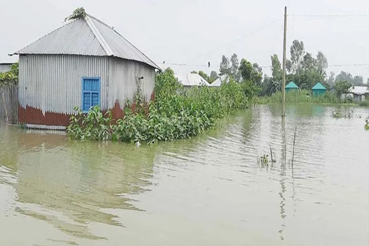 বাড়ছে যমুনার পানি, সিরাজগঞ্জে নিম্নাঞ্চল প্লাবিত