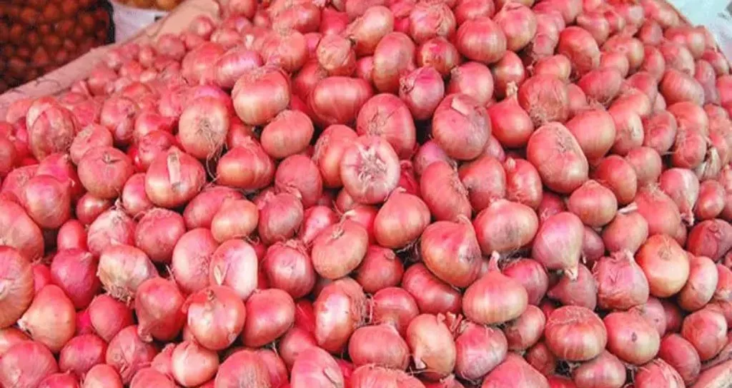 আবারও সেঞ্চুরি ছাড়াল পেঁয়াজ, দিশেহারা ক্রেতা