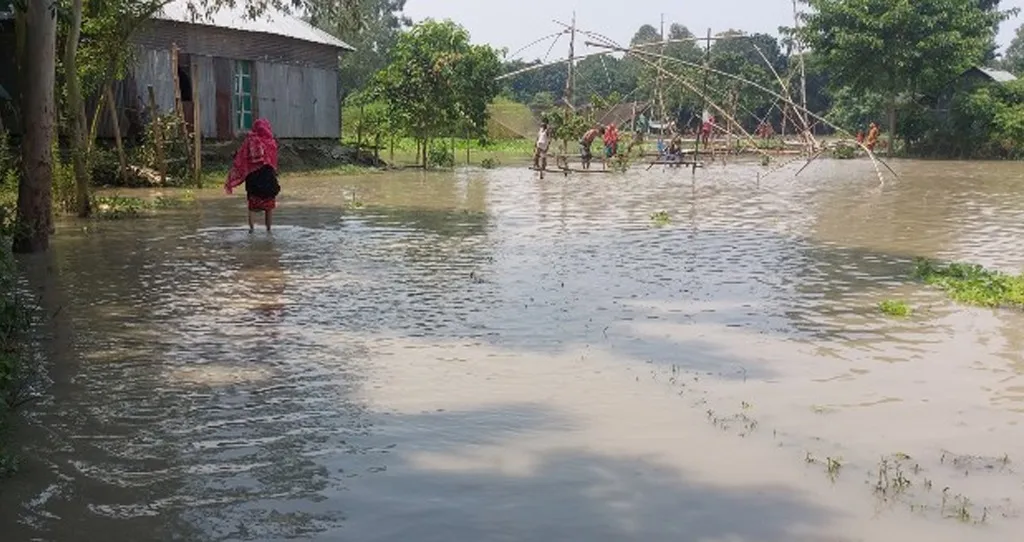 জামালপুরে বন্যার পানিতে গোসলে নেমে ৪ জনের মৃত্যু