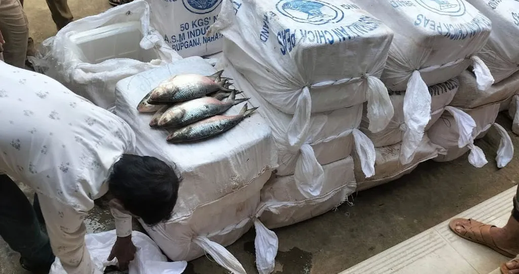 ভারতে পাচারের সময় ৬২০ কেজি ইলিশ জব্দ