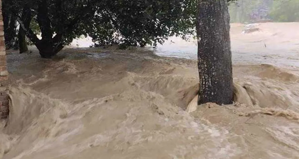 শেরপুরে টানা বৃষ্টি ও পাহাড়ি ঢলে শতাধিক গ্রাম প্লাবিত