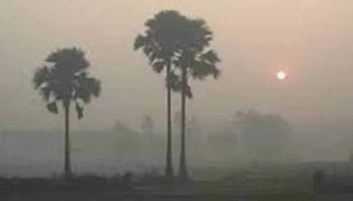 তেঁতুলিয়ায় ১১ ডিগ্রিতে নামলো তাপমাত্রা