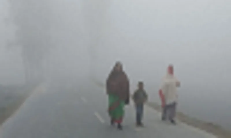 পঞ্চগড়ে তাপমাত্রার পারদ ৯ ডিগ্রির ঘরে