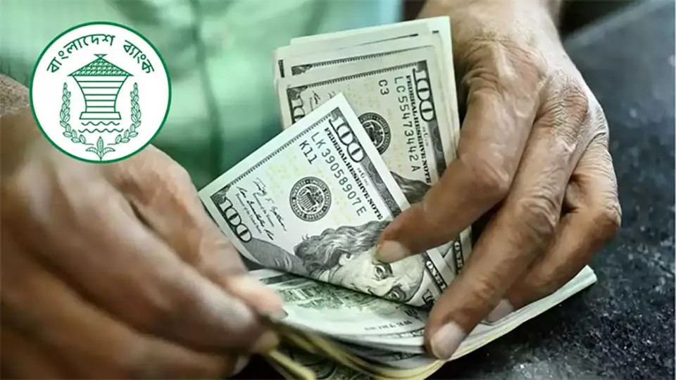 19.3pc growth of remittance inflow till Sept 10