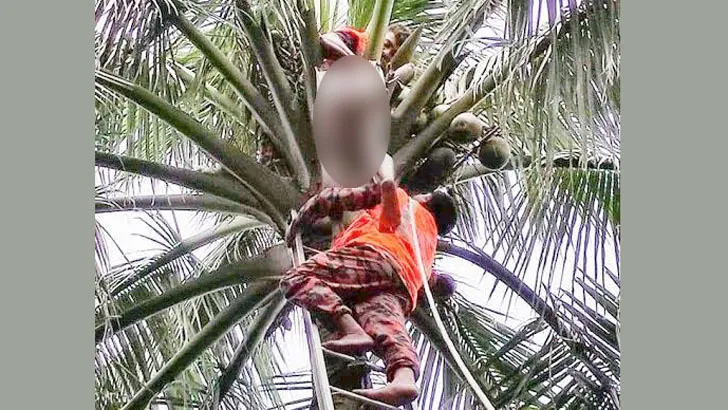 নারিকেল গাছ থেকে পড়ে কৃষকের মৃত্যু