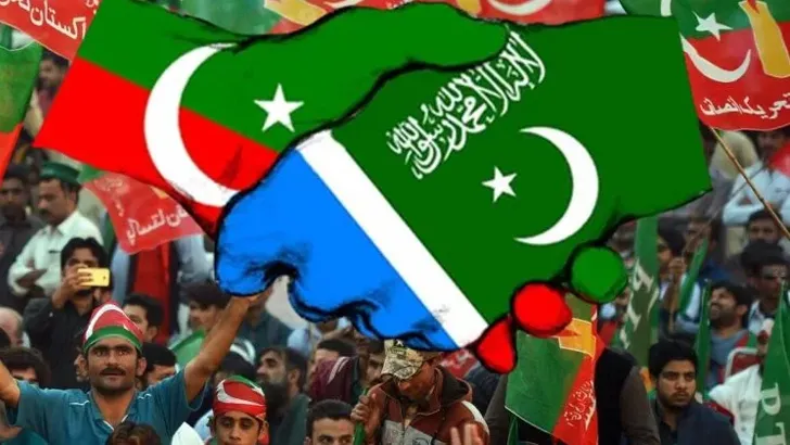 প্রাদেশিক সরকার গঠনে জামায়াতের সঙ্গে জোট করবে পিটিআই