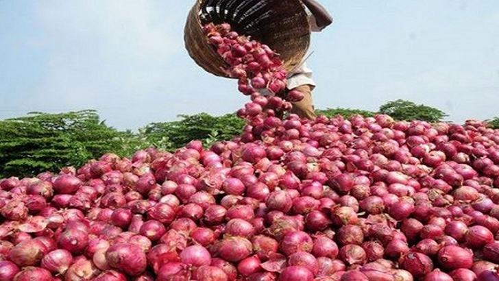 تعرف على أكبر منتجي ومصدري البصل بالعالم